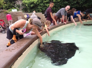petting sting rays (seaworld), this is my cousin, with Joy in the middle